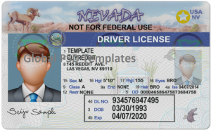 Nevada Drivers License Template (Front & Back) V2