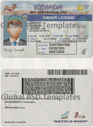 Nevada Drivers License Template (scan) V2