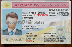 New Mexico Drivers License Template (Front & Back) + update