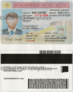 New Mexico Drivers License Template (scan)