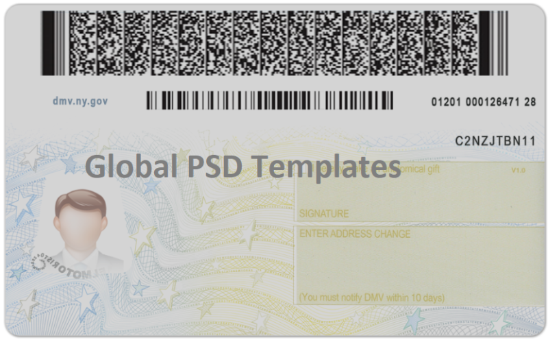 New York	Drivers License Template (Front & Back) V2 - Image 2