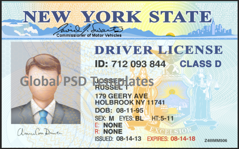 New York	Drivers License Template (V1) - Image 2