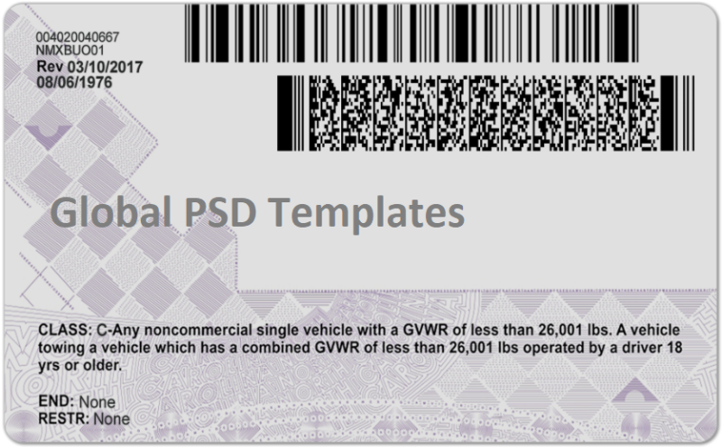 North Carolina Drivers License Template (Front & Back) - Image 2