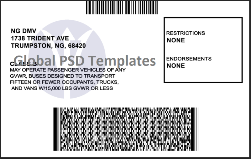 North Virginia Drivers License Template - Image 2