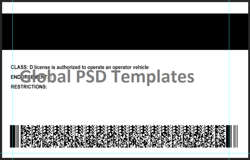Ohio Drivers License Template (V1) - Image 2
