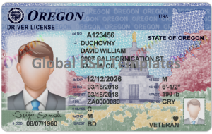 Oregon Drivers License Template (Front & Back)