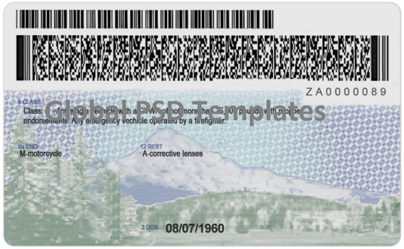 Oregon Drivers License Template (Front & Back) - Image 2