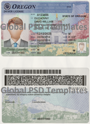 Oregon Drivers License Template (scan)