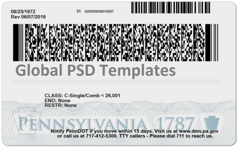 Pennsylvania Drivers License Template (Front & Back) - Image 2