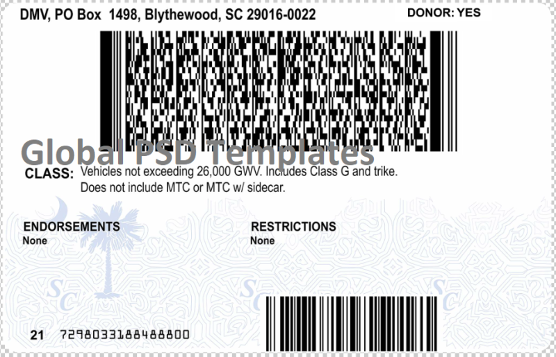 South Carolina Drivers License Template Updated - Image 2
