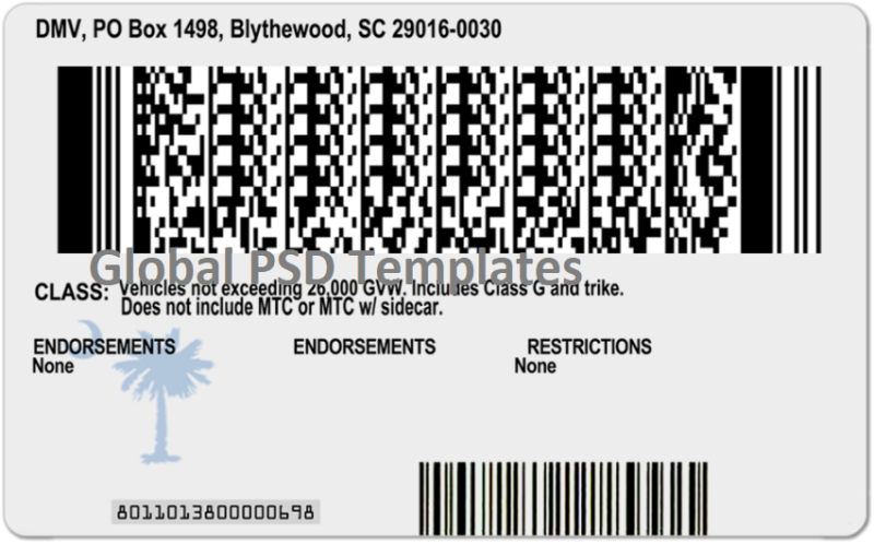 South Carolina Drivers License Template (Front & Back) V2 - Image 2