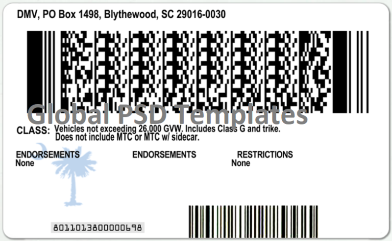 South Carolina Drivers License Template (V1) - Image 3
