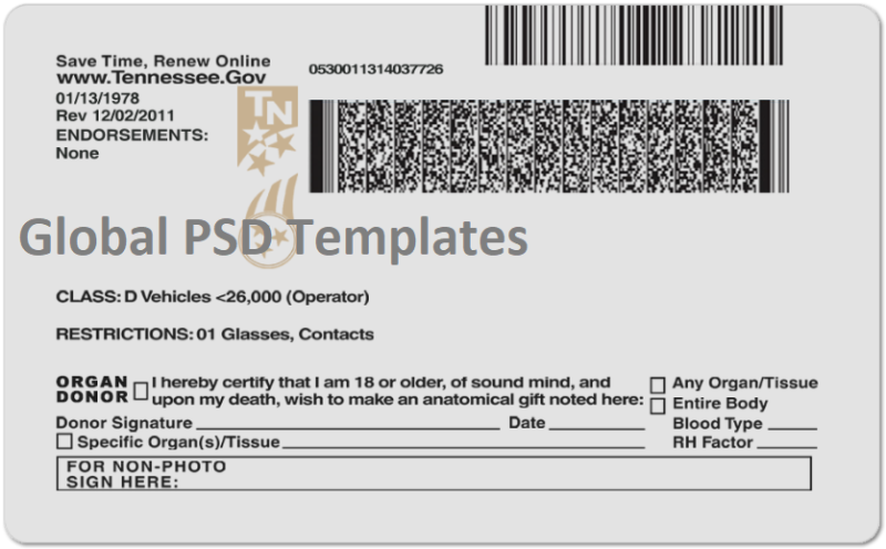 Tennessee Drivers License Template (Front & Back) V2 - Image 2