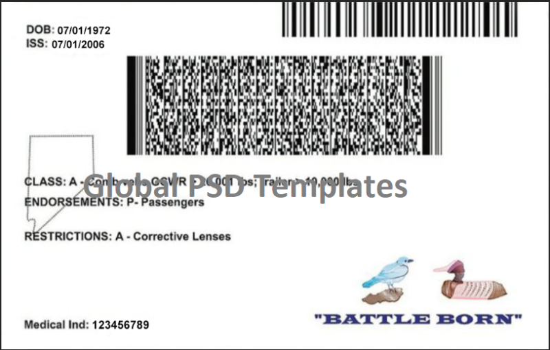 Nevada Drivers License Template V1 - Image 2