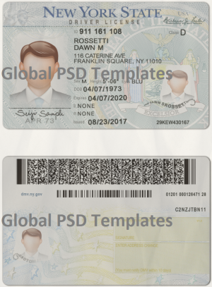 New York	Drivers License Template (scan) V2