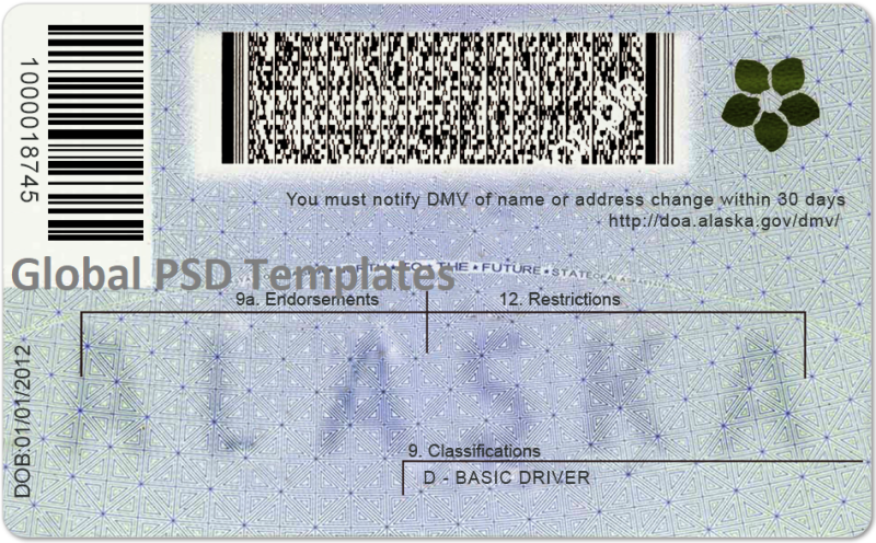 Alaska Drivers License Template (Front & Back) V2 - Image 2