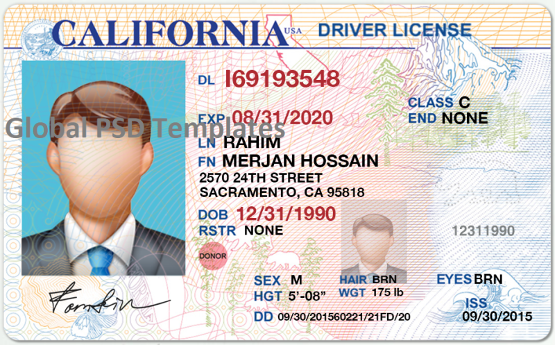 California Drivers License Template (Front & Back) V1