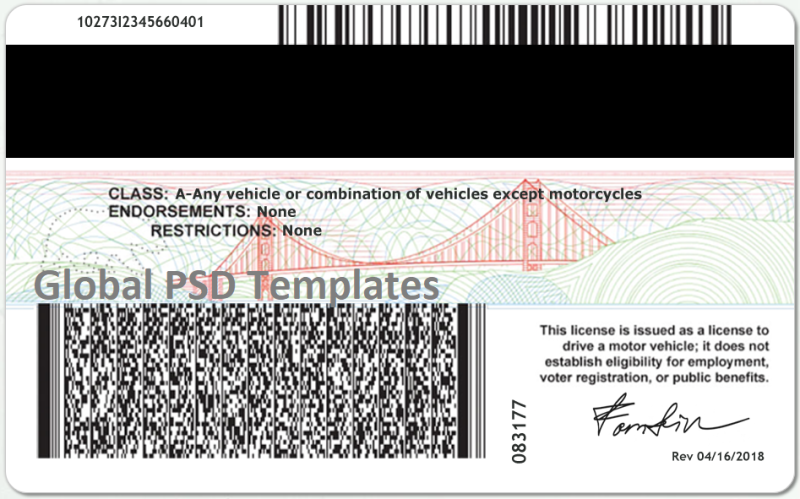 California Drivers License Template (Front & Back) V1 - Image 2