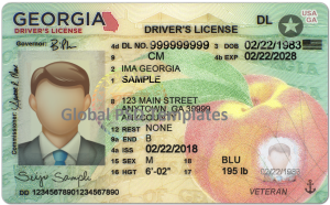 Georgia Drivers License Template (Front & Back) V1