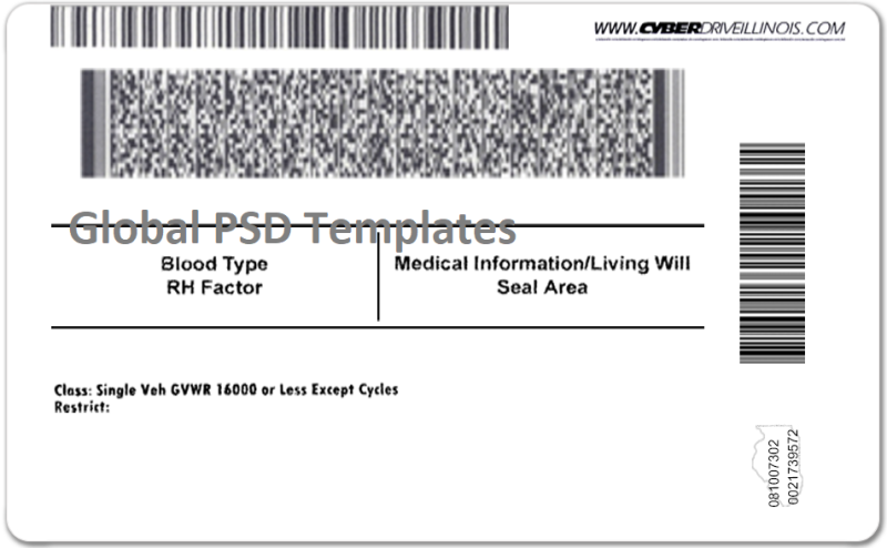 Illinois Drivers License Template V1 - Image 2