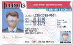 Illinois Drivers License Template V1