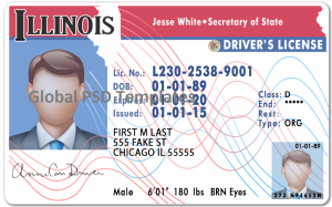 Illinois Drivers License Template V1