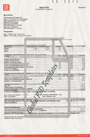 Bulgaria Electricity Bill PSD Template