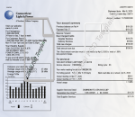 Connecticut Electricity Bill PSD Template