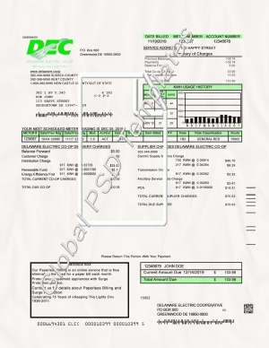 Delaware Electricity Bill PSD Template
