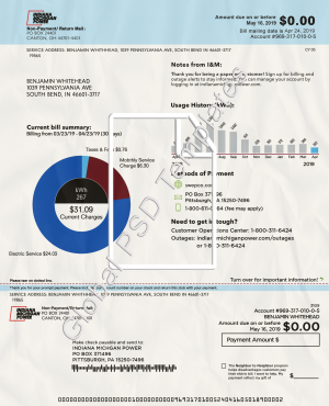 Indiana Electricity Bill PSD Template