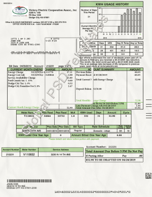 Kansas Electricity Bill PSD Template