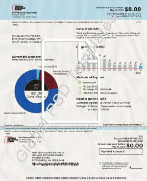 Michigan Electricity Bill PSD Template
