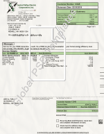 New Mexico Electricity Bill PSD Template