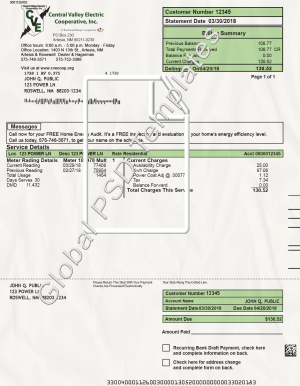 New Mexico Electricity Bill PSD Template