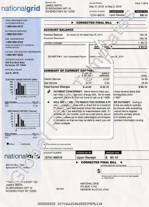 New York Electricity Bill PSD Template