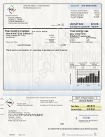 Oregon Electricity Bill PSD Template