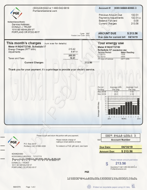 Oregon Electricity Bill PSD Template
