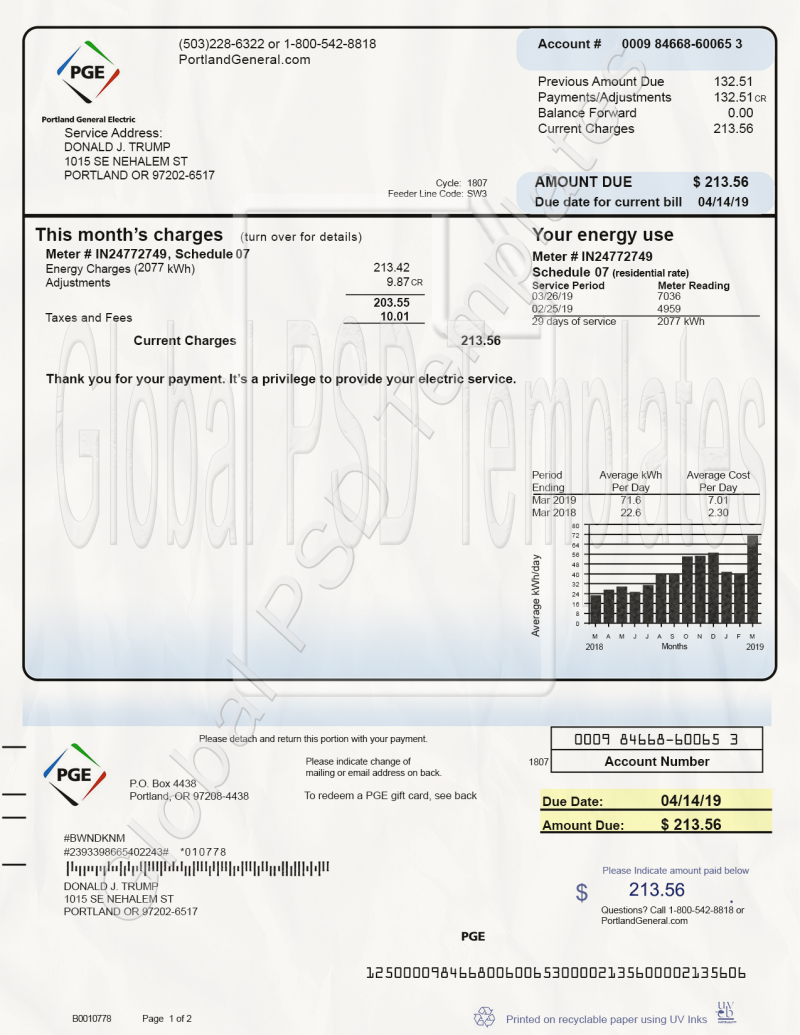Oregon Electricity Bill PSD Template