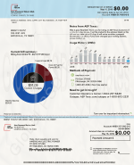 Texas Electricity Bill PSD Template