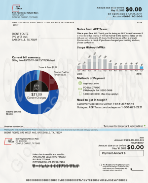 Texas Electricity Bill PSD Template